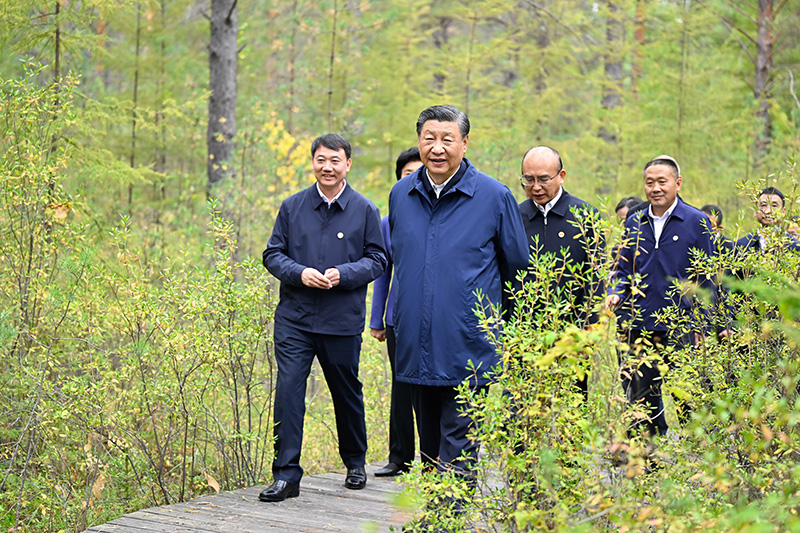 9月6日至8日，中共中央總書記、國家主席、中央軍委主席習(xí)近平在黑龍江考察。這是6日下午，習(xí)近平在大興安嶺地區(qū)漠河市漠河林場(chǎng)自然林區(qū)考察